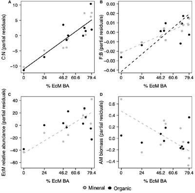 Fungal Community, Not Substrate Quality, Drives Soil Microbial Function in Northeastern U.S. Temperate Forests